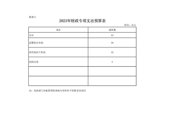 恩施州中心医院2023年部门预算公开_jpg_29.jpg